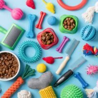 productos-para-mascotas Productos para mascotas