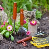 seccion-de-jardineria Jardinería