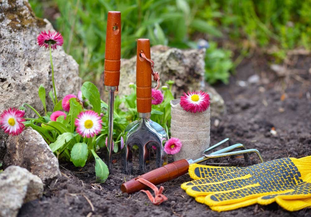 Sección de jardinería